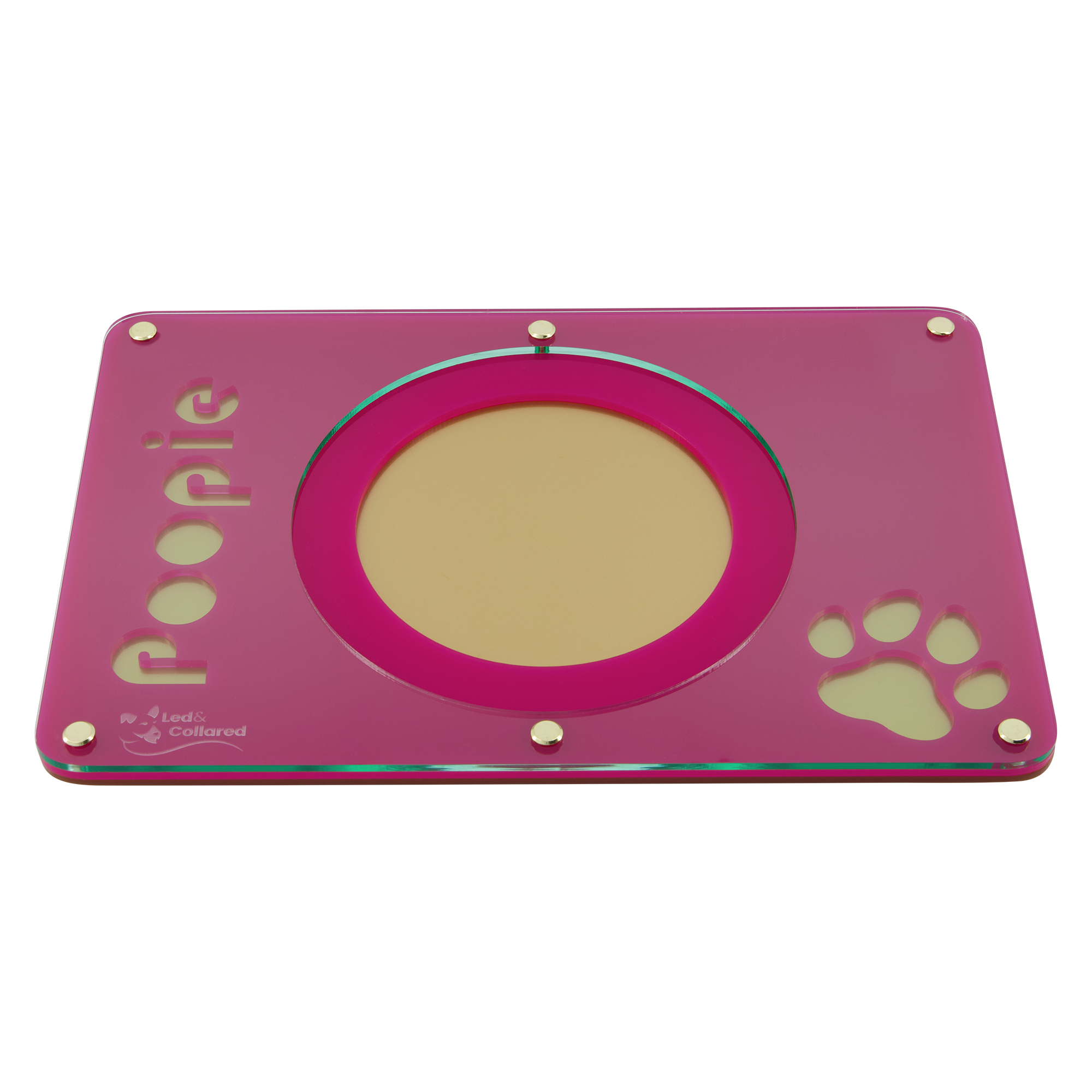 Single Bowl Cat Feeding Mat Led & Collared NZ